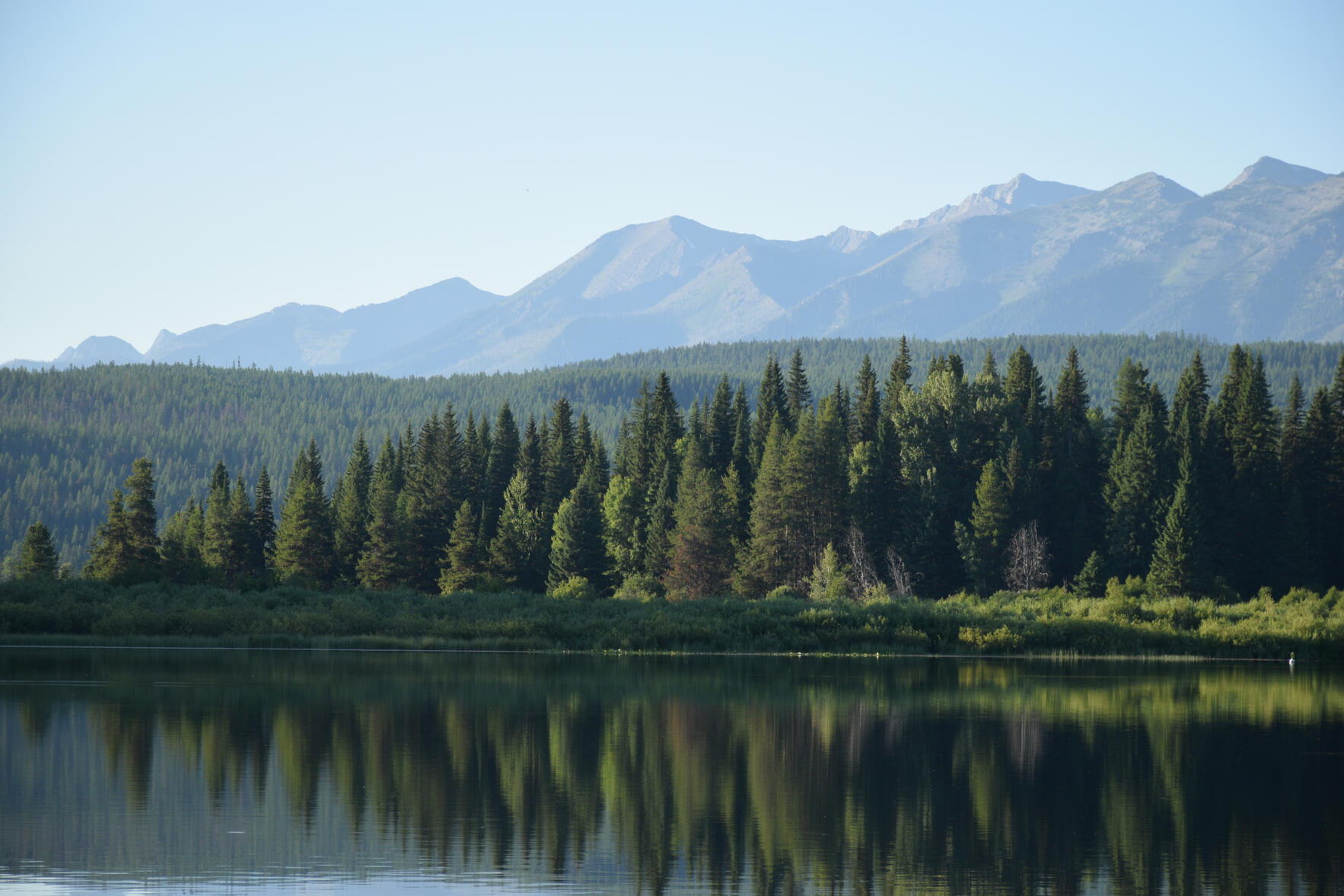 Lolo National Forest